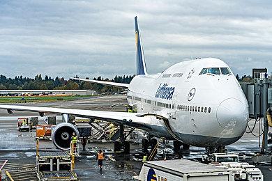 《Apex英雄》角色动作表情导致游戏崩溃 官方回应