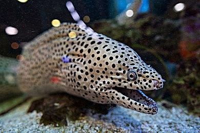 建筑模拟游戏《RoadCraft》明年春季登陆PS5＆XS＆PC