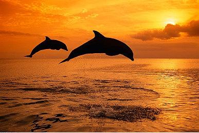 进入关键阶段 横山正义透露《如龙8》开发进展